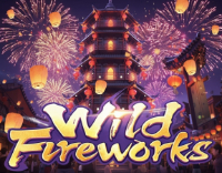 Wildfireworks